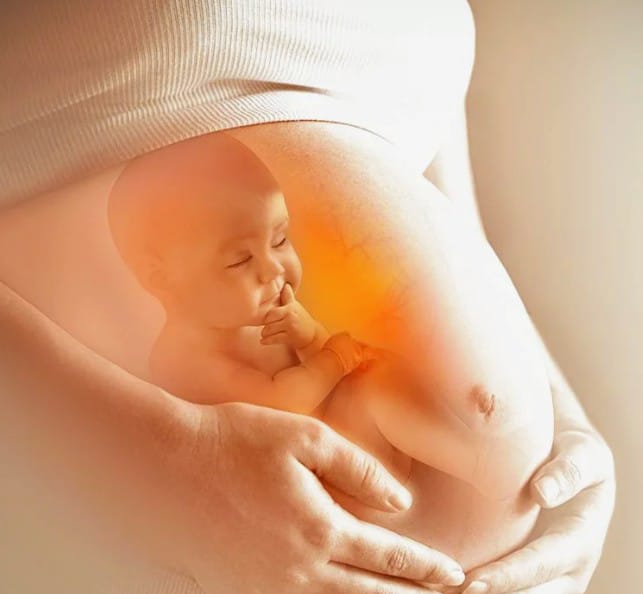 En Defensa de la Vida